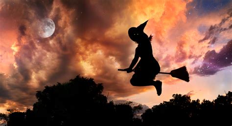 The Ultimate Halloween Experience: Riding a Broomstick Through Haunted Forests